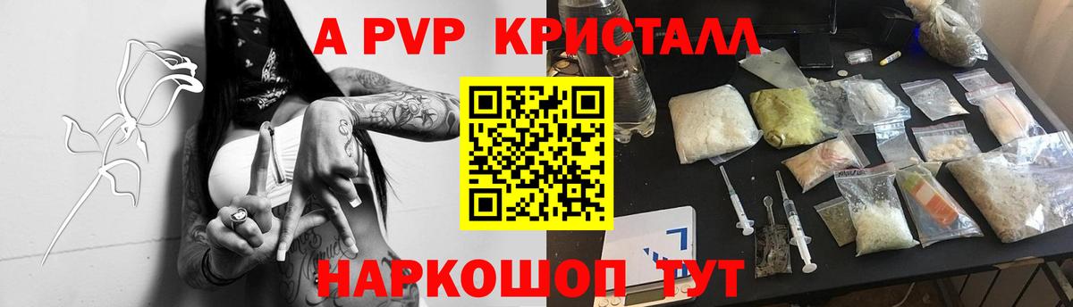 Альфа ПВП СК Сердобск