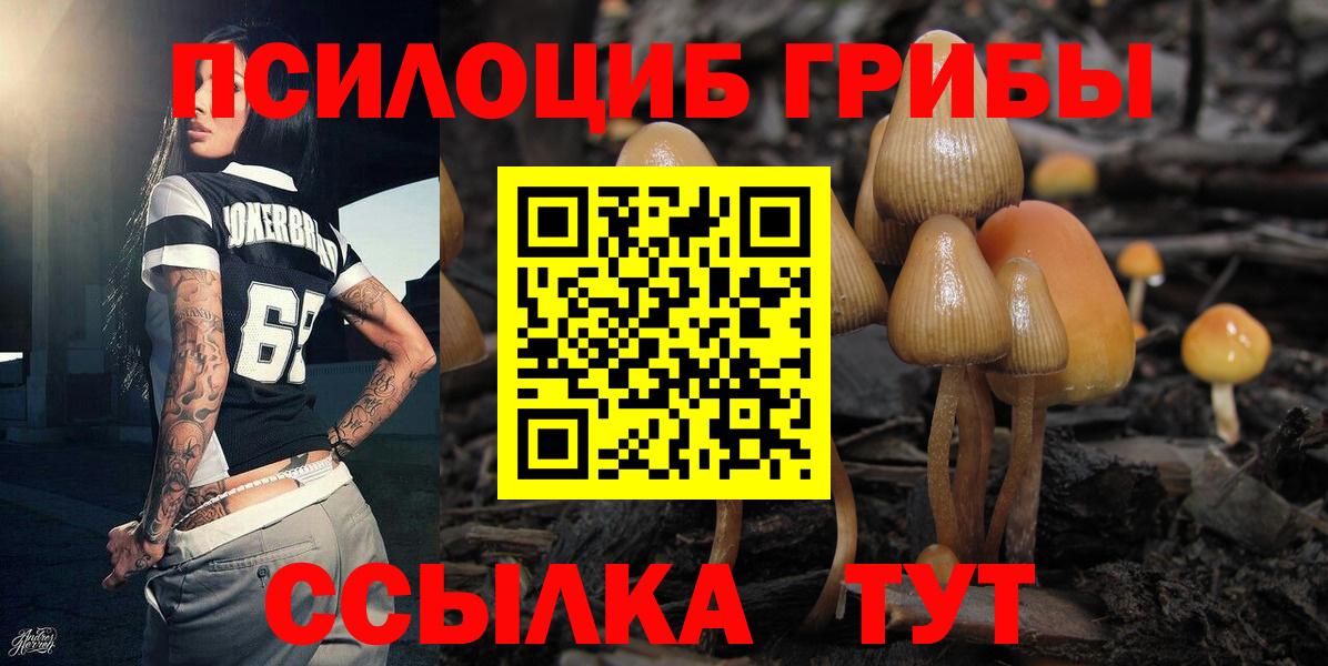 Галлюциногенные грибы мухоморы Сердобск