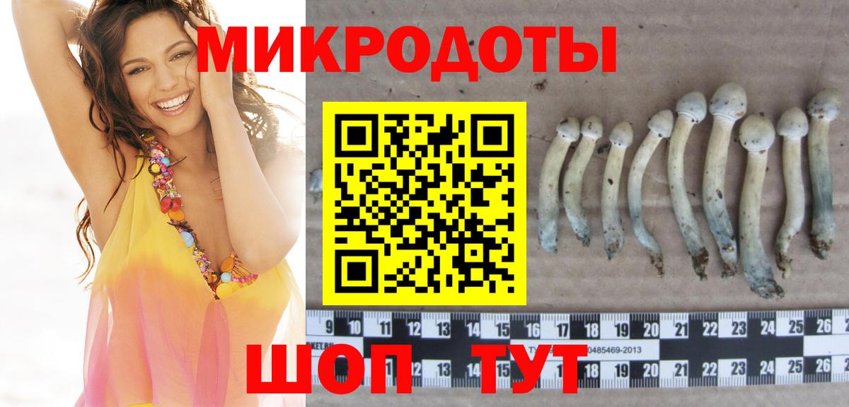 Галлюциногенные грибы прущие грибы  Вход с VPN  Сердобск 